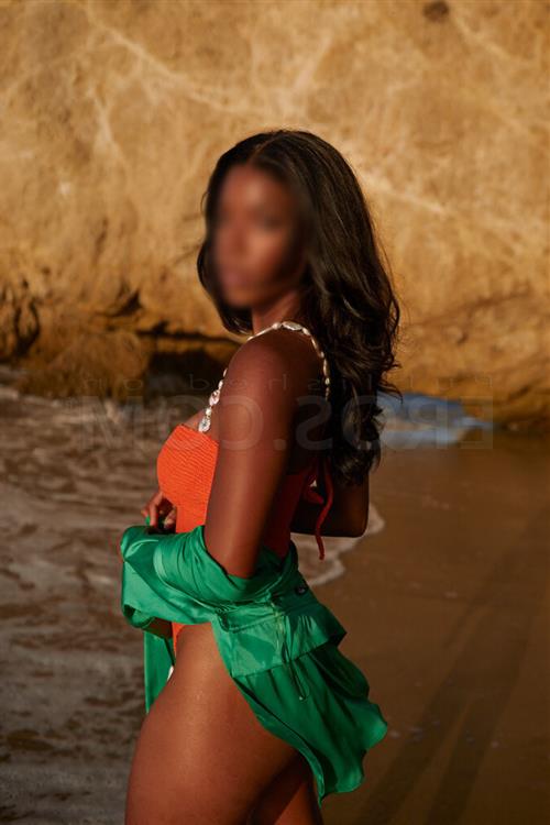 Escort Suad Sayde, Thorndon id2239